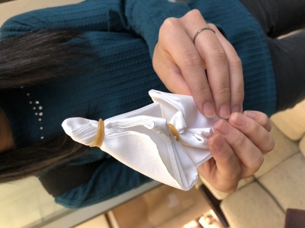 山形米沢から紅花染体験！