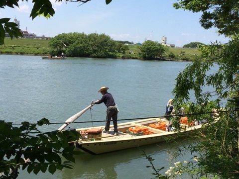 葛飾納涼花火大会