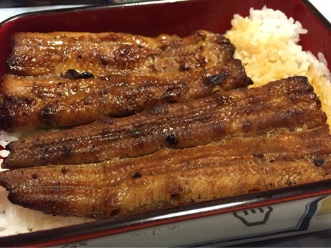 本日は土用の丑の日